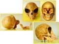 Силендский череп: бесценная находка или грубая подделка?