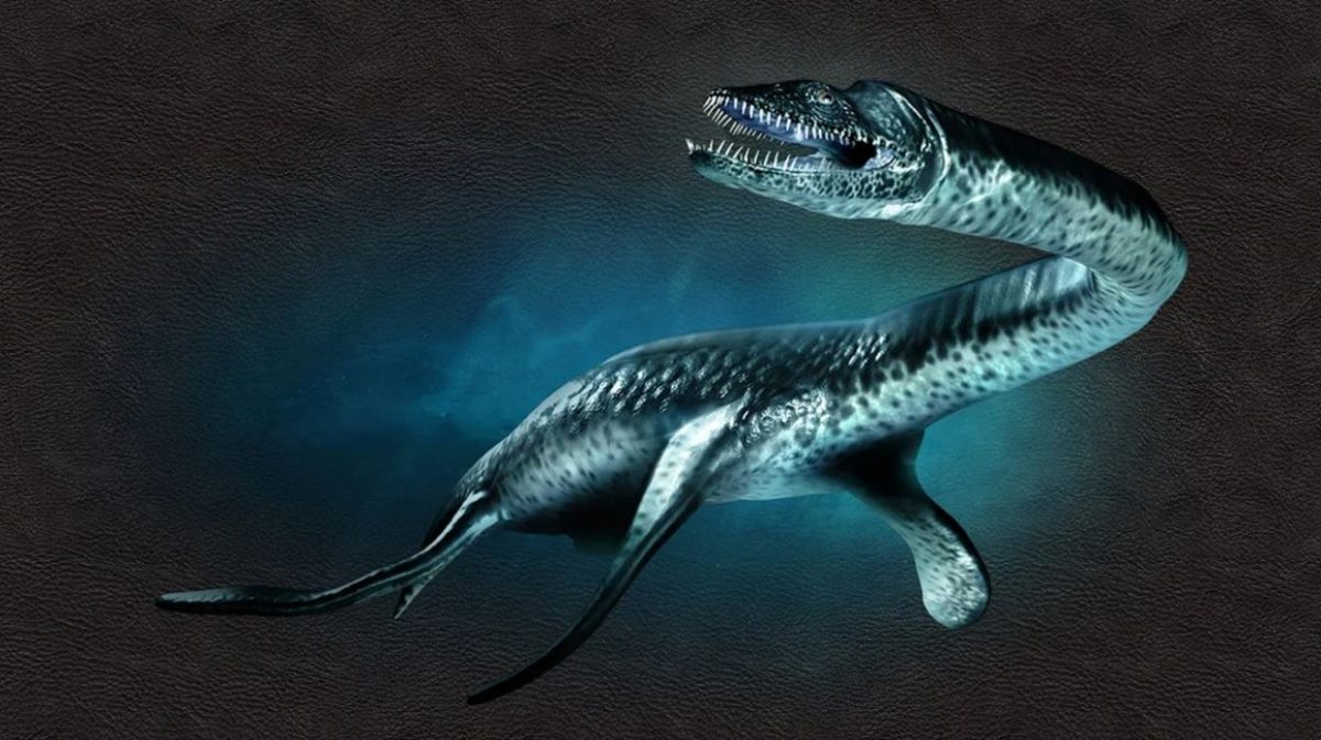 Плезиозавры Триасового периода