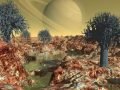 Загадочные «марсианские деревья»