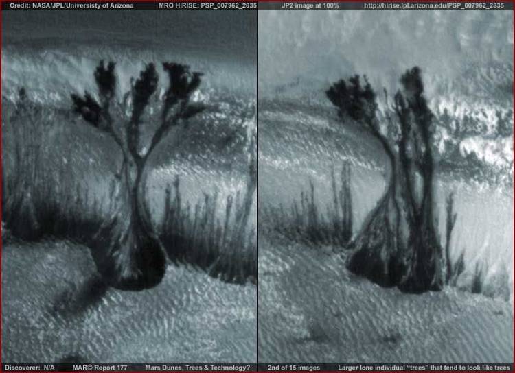 Марсианские деревья
