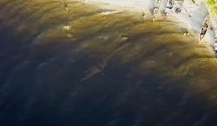 В Шотландии беспилотник снял на видео Лох-Несское чудовище