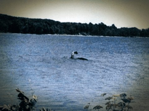 Монстр озера Шамплейн