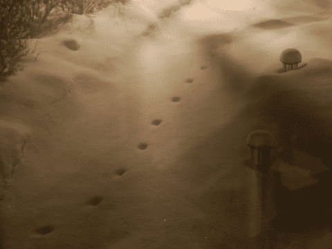 Девонширский дьявол и таинственные следы на снегу