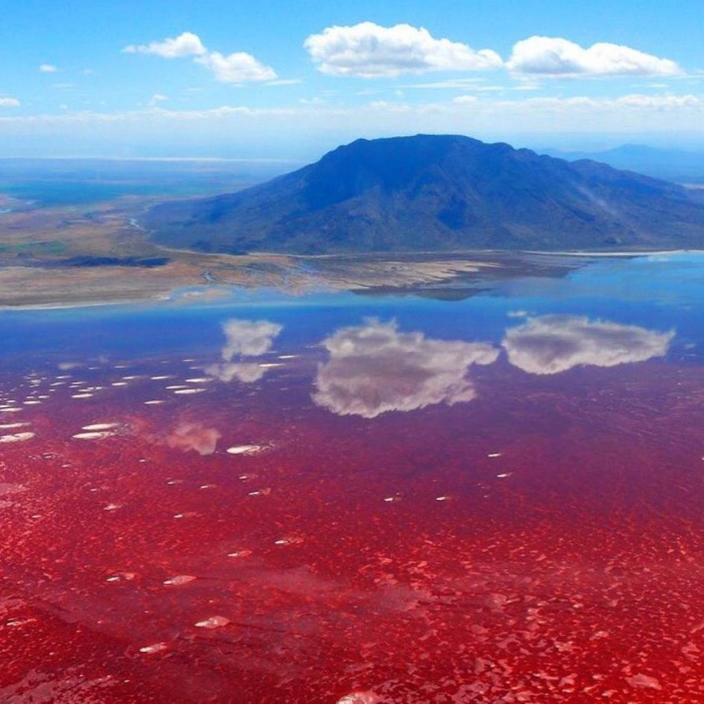 Кроваво-красные воды озера Натрон