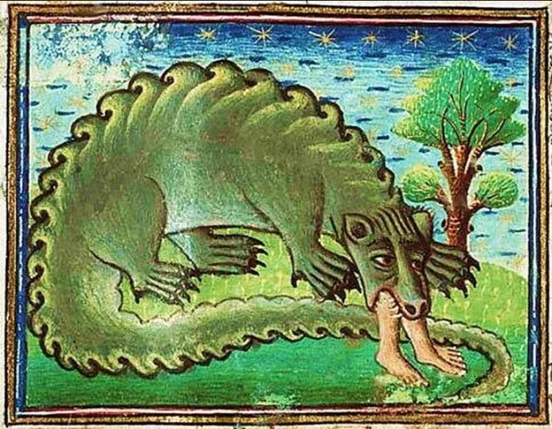 Крокодилы и драконы на руси