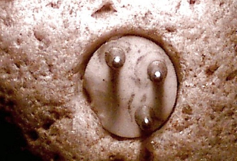 Увеличенное изображение трёхконтактной вилки внутри Энигмалита Уильямса