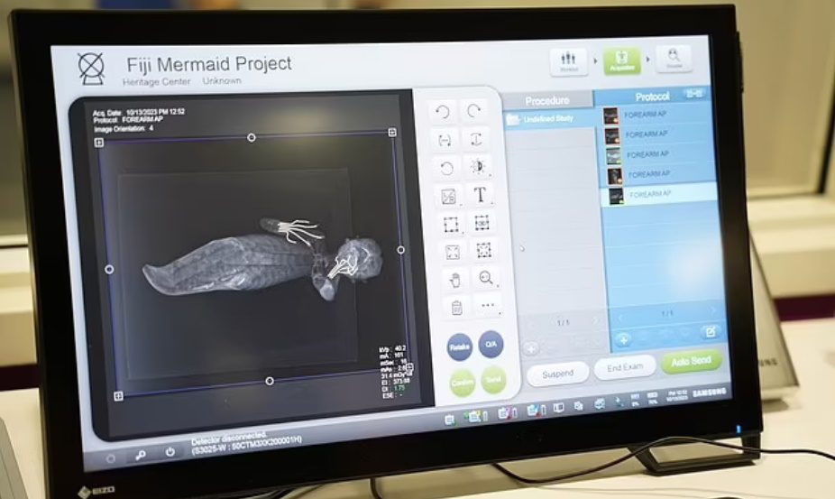 Компьютерная томография мумии русалки