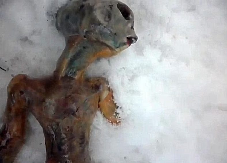 Останки инопланетянина, найденного под Иркутском в 2011 году