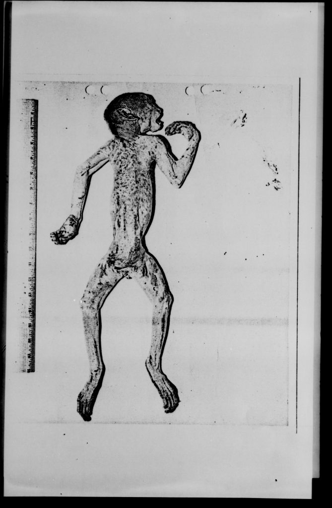 Мистификация с телом "инопланетянина" из архивов проекта "Синяя книга"