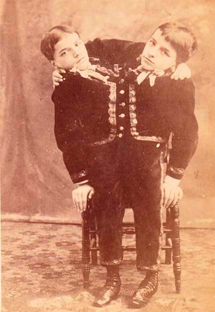 Фотография братьев Точчи, сделанная Обермиллером и Керном в 1880-х годах на кабинетной карточке. Она была продана братьями Точчи.